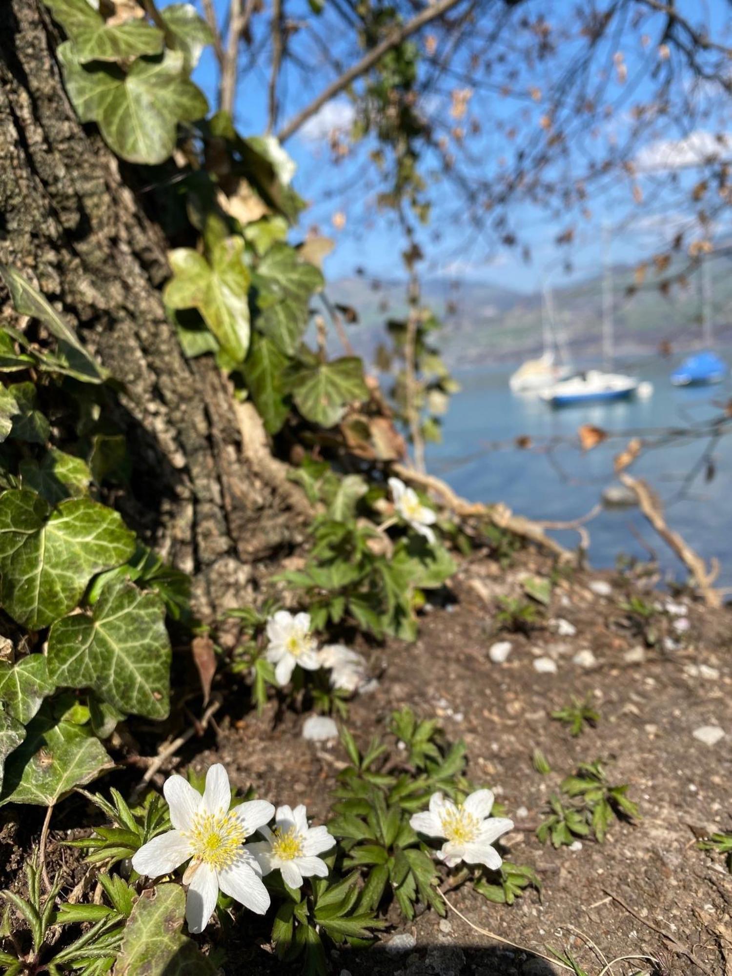 Hotel Seaside Spiez Dış mekan fotoğraf